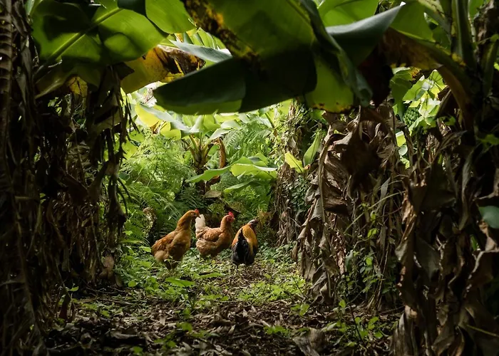 Quinta Glicinias בית נופש