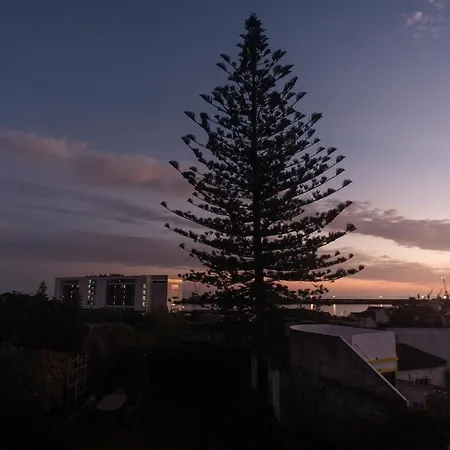 Holiday home Quinta Glicinias Ponta Delgada (Sao Miguel)