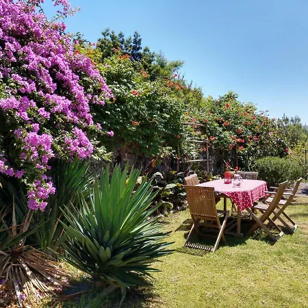 Quinta Glicinias Holiday home *