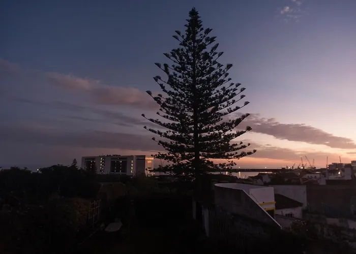 Дом отдыха Quinta Glicinias Понта-Делгада